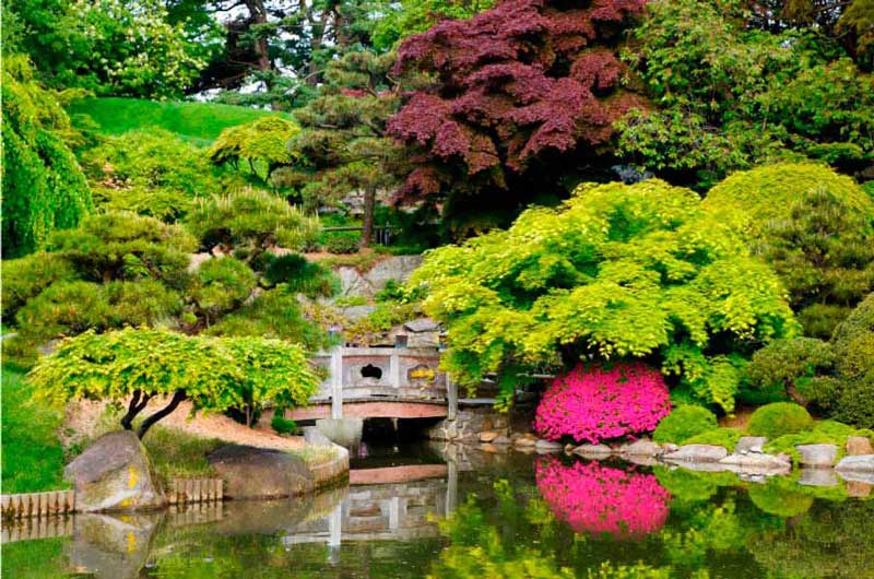 https://latiendadelaspegatinas.com/uploads/fotomurales-decorativos-zen-y-relax-FM-zn-0001-jardin-japones-base_55985.jpg